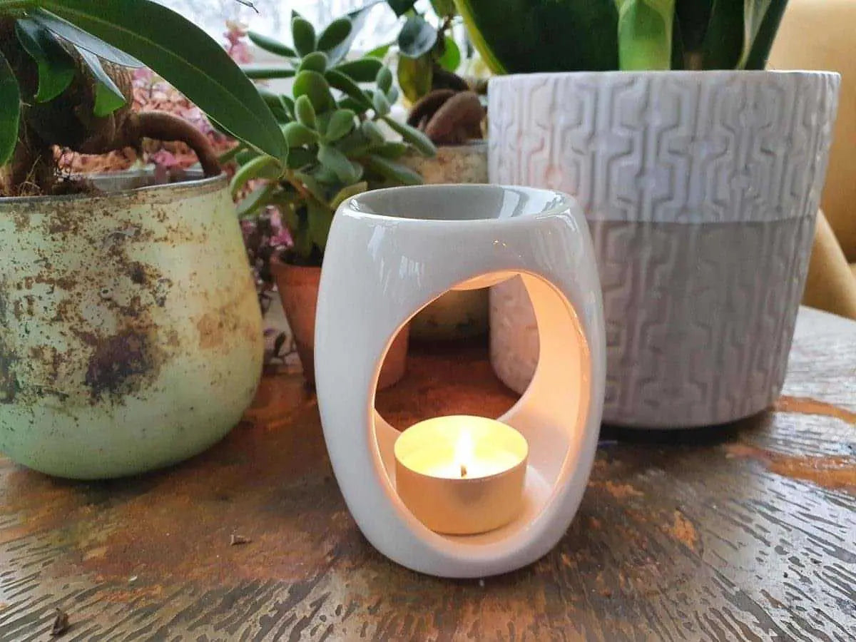 White wax melt warmer with a lit tealight, surrounded by potted plants on a wooden surface.